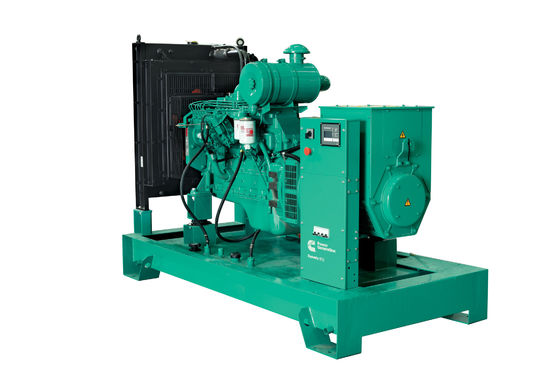 Buy 100KW Moisture Proof Power Plant for Continuous Power Generation online manufacture