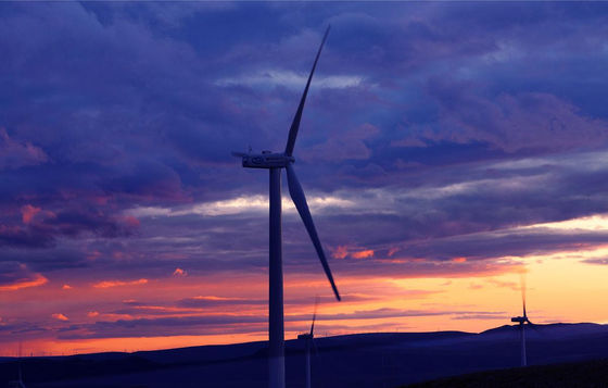 Low Carbon Domestic Wind Turbine Power Generator 12m/S