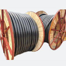 Cable